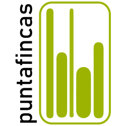 Logo PuntaFincas